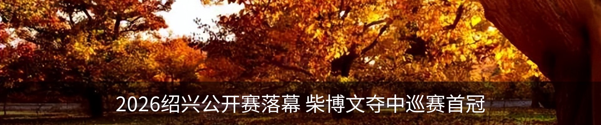 新闻中心